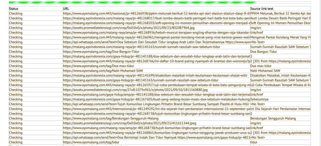 Dead Link Checker Gratis