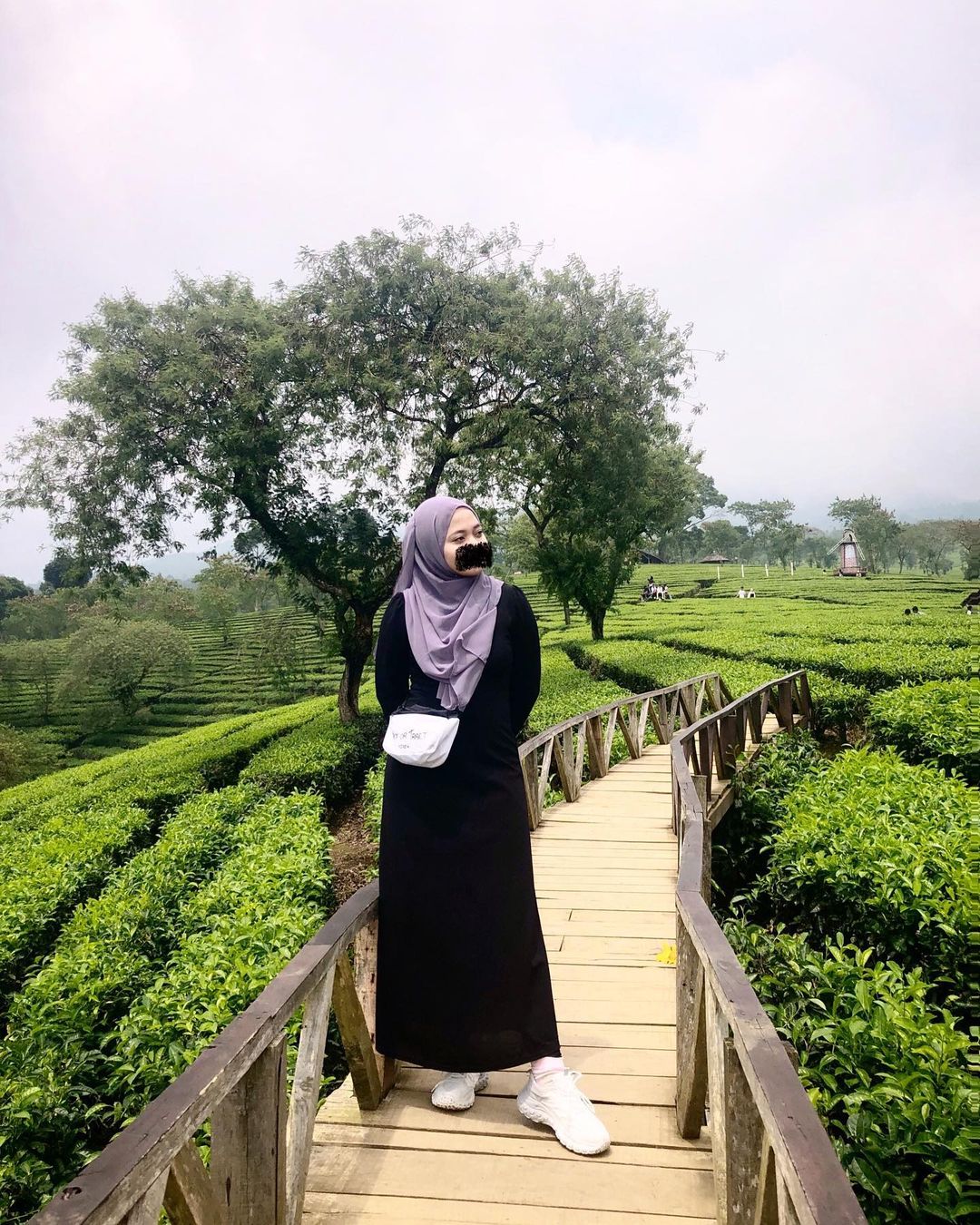 Liburan ke Kebun Teh Wonosari Kabupaten Malang, Suasana Adem Pas Buat Tenangin Diri
