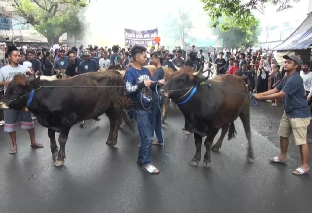Arak Hewan Kurban Keliling Kampung, Ini Keseruan Warga Kidul Pasar Malang Saat Idul Adha