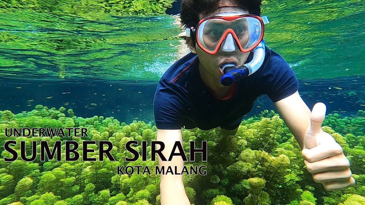 Masih Banyak yang Gak Tahu! Menyelam di Wisata Sumber Sirah Kabupaten Malang, Air Bak Akuarium
