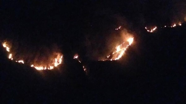 Belum Juga Padam, Api Kebakaran Jalur Pendakian Semeru Terus Muncul