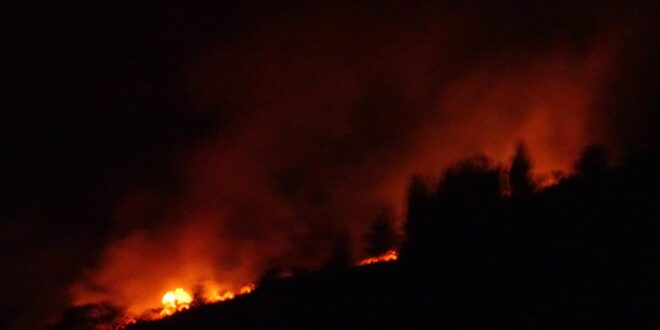 Gunung Arjuno Terbakar Lagi, Diduga Akibat Pemburu Liar