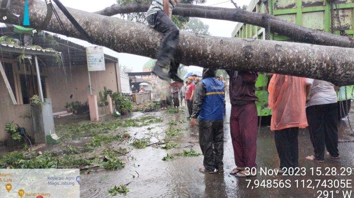 Hujan Deras dan Angin Kencang Terjang 3 Kecamatan di Kabupaten Malang, ada Singosari dan Karangploso