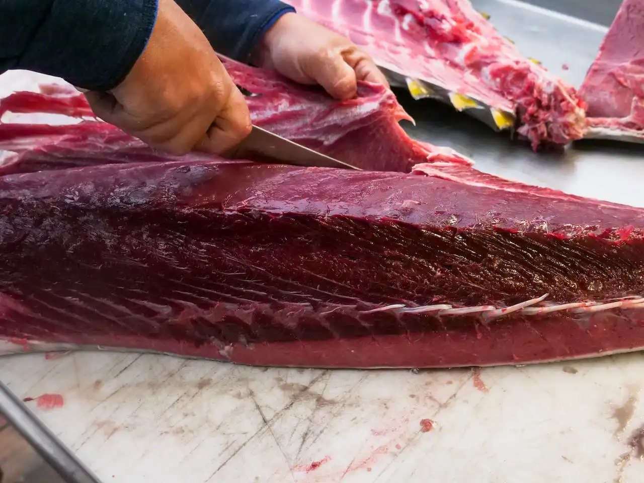 5 Cara Memasak Ikan Tuna yang Mudah, Nikmat, dan Sehat