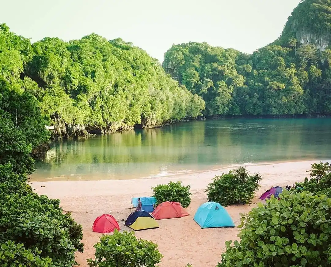 Mahasiswa IPB Hilang di Pulau Sempu Belum Juga Ketemu, Korban Lakukan Penelitian Reptil