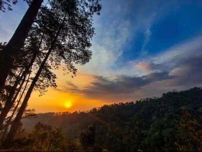Benjor Pine Camp Ground, Spot Camping Murah dan Menenangkan di Tumpang Malang