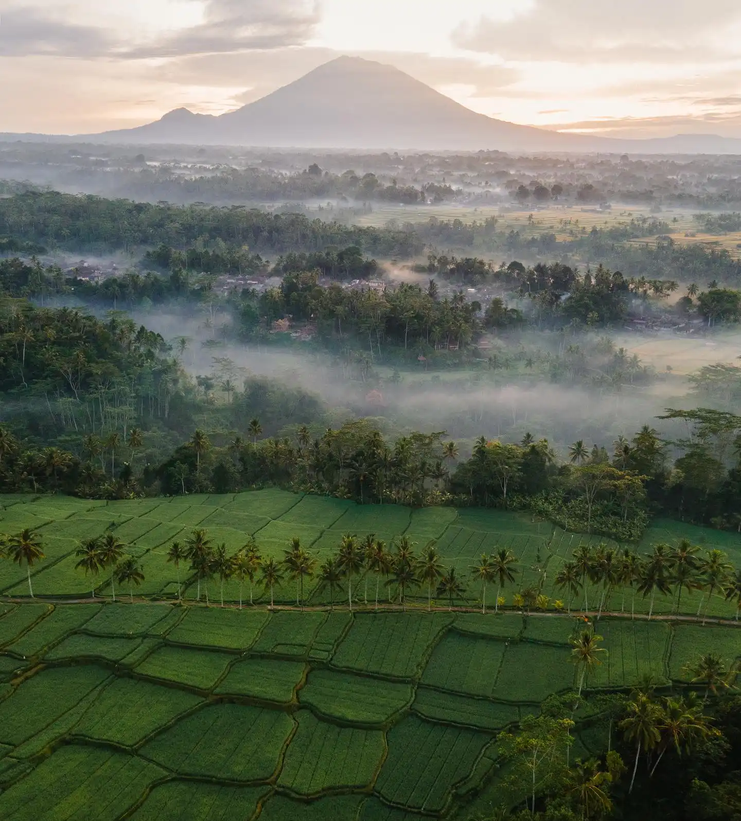 The Allure of Ubud, Bali: Captivating Nature, Art, and Holistic Wellness