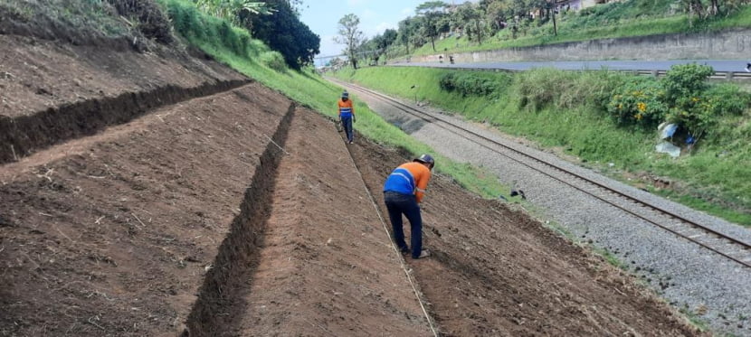 KAI Intensifkan Penanaman Pohon dan Rumput Akar Wangi untuk Mitigasi Longsor di Jalur Kereta Api