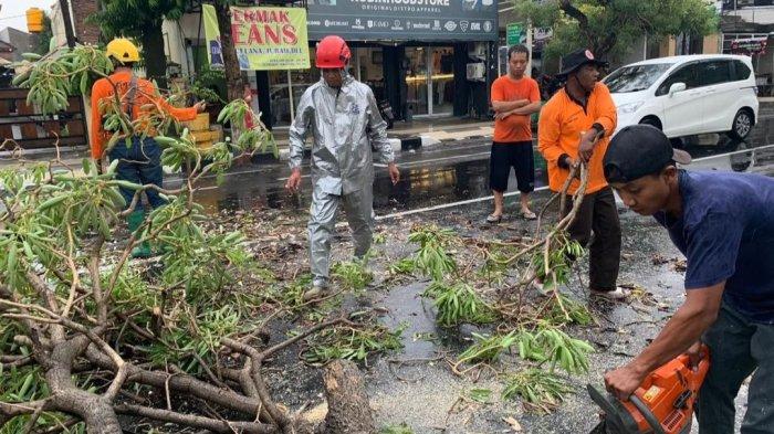 Polres Malang Tanggap Cepat Atasi Pohon Tumbang di Desa Kemantren Jabung
