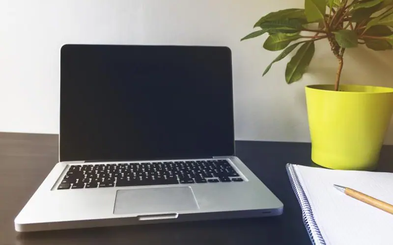Tips Menyelamatkan Laptop yang Terkena Air, Simak Caranya di Sini!