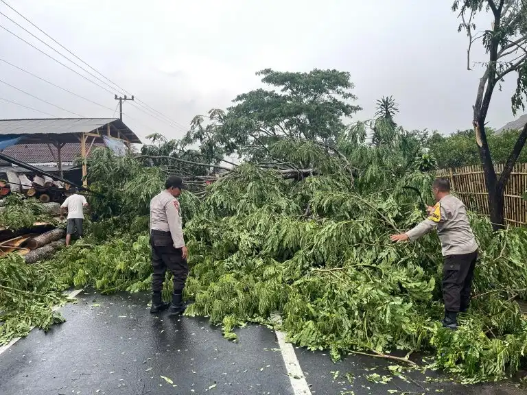 Polsek Poncokusumo Malang Sigap Evakuasi Pohon Tumbang Akibat Hujan Deras dan Angin Kencang