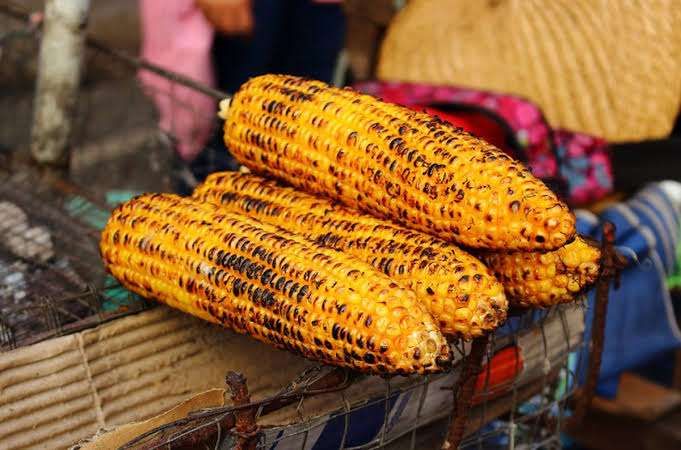 6 Ide Menu Bakar-bakar Tahun Baru 2024, Dapat Membuat Malam Tahun Baru Semakin Meriah