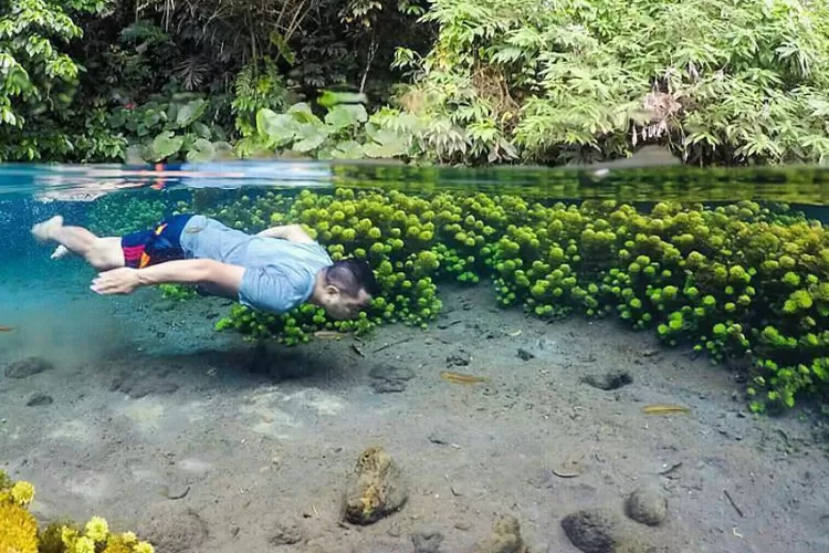 Air Sebening Kaca di Malang! Wisata Sumber Sirah, Penuh Keindahan Alam dan Snorkeling Unik