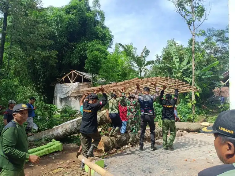 Polsek Lawang dan Tim Gabungan Bersinergi Evakuasi Pohon Tumbang di Desa Wonorejo Lawang
