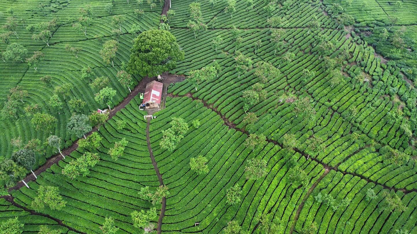 Tips Liburan Asyik dan Nyaman Saat ke Kota Malang, Rekomendasi Tempat Wisata, dan Kuliner Paling Viral!