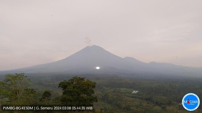 Gunung Semeru Mengalami Erupsi, Tinggi Kolom Abu Mencapai 800 Meter