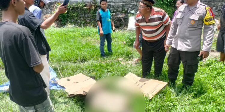 Seorang Lansia Ditemukan Meninggal Dunia di Persawahan Desa Talok, Turen: Tidak Ada Tanda Kekerasan