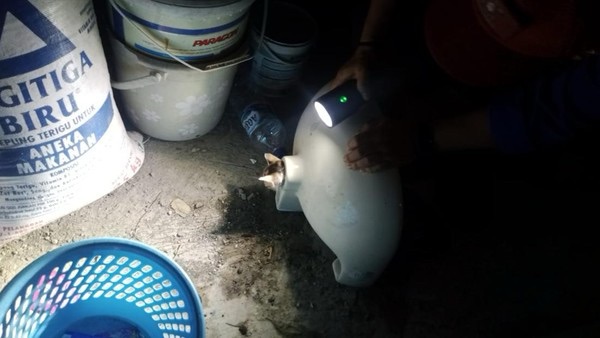 Dramatis Evakuasi Kucing Terjebak di Lubang Wastafel oleh Petugas Pemadam Kebakaran Kota Malang