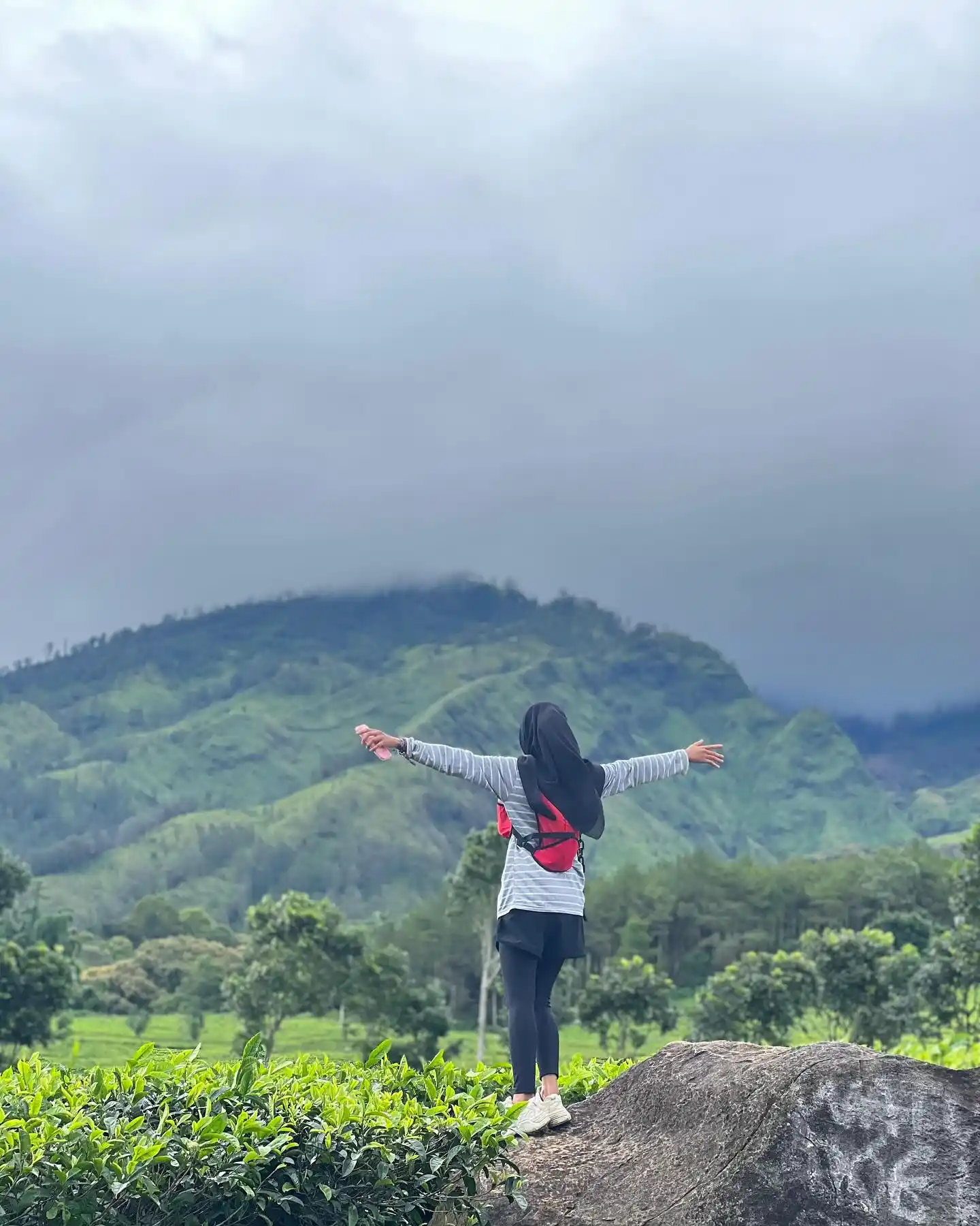 Rek! Rekomendasi 10 Wisata Alam Sejuk di Kabupaten Malang untuk Mengisi Liburan 2024