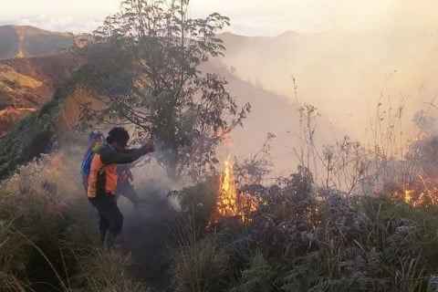 Dampak Kebakaran di Gunung Bromo, ini Langkah-Langkah Balai Besar TNBTS