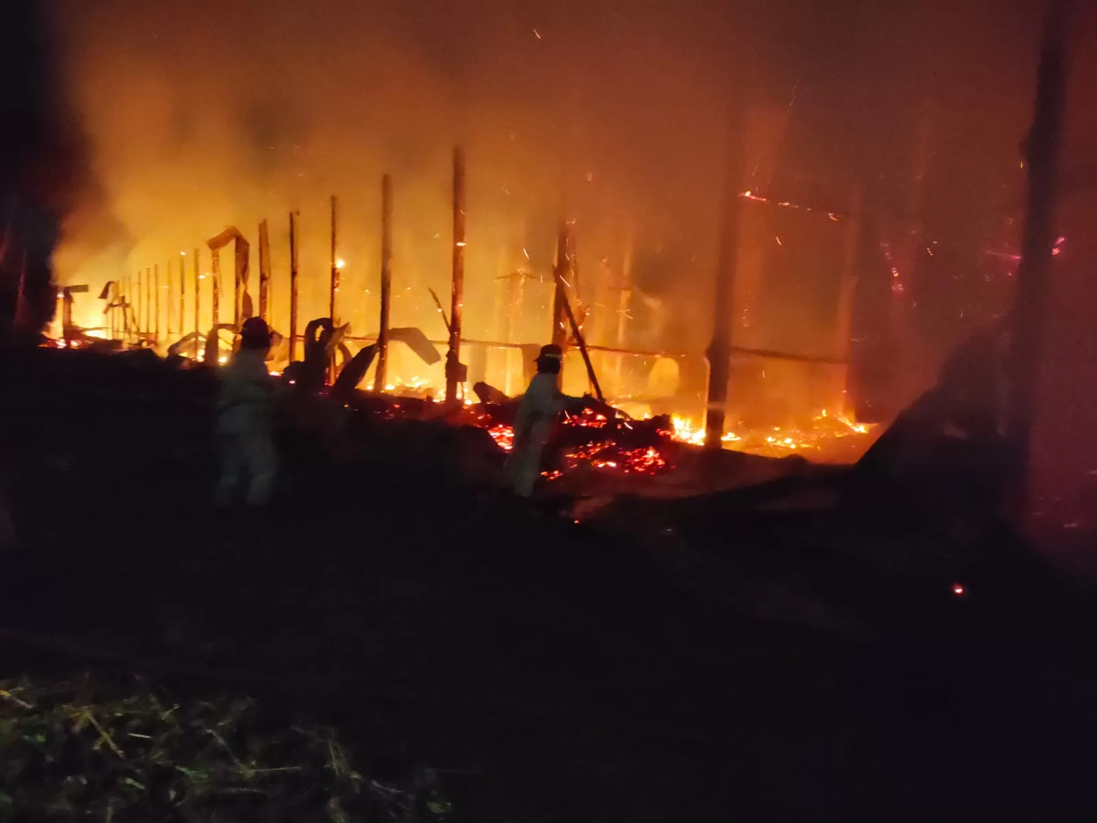 Kebakaran Kandang Ayam Tiga Lantai di Pagelaran Malang: Kerugian Puluhan Juta, Penyebab Masih Diselidiki