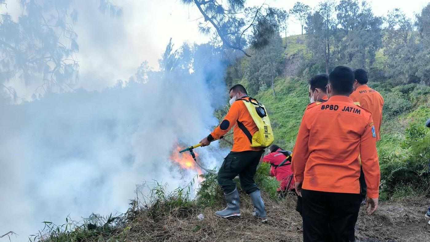 Kebakaran Hutan di Kawasan Bromo Padam, Petugas Gabungan Bahu-Membahu Padamkan Api