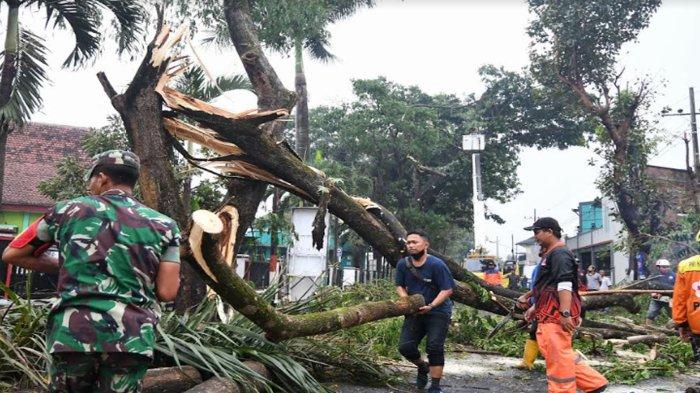 Waspada! BPBD Kabupaten Malang Ingatkan Anomali Cuaca, Hujan Deras dan Angin Kencang Mengancam