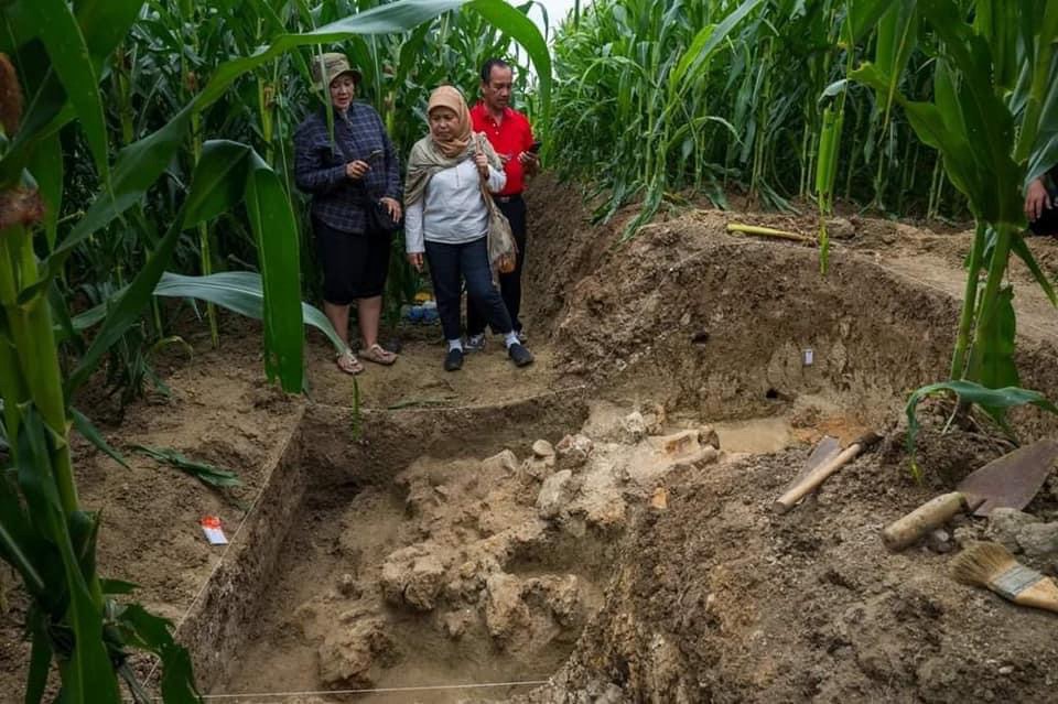 Sensasi Arkeologis: Fosil Elephas Utuh Ditemukan di Kebun Jagung Kudus