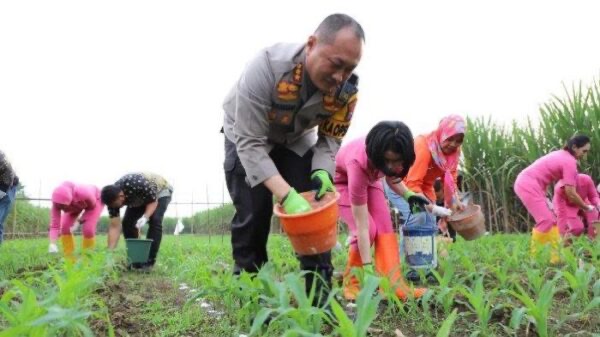 Dukung Program 100 Hari Presiden, Kapolresta Malang Kota Terjun ke Ladang Jagung