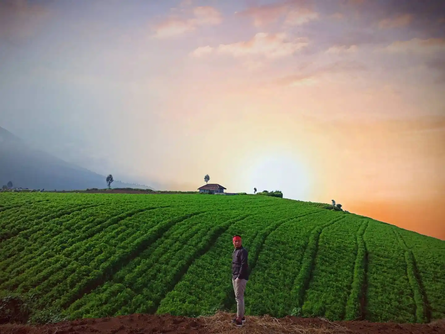 Liburan Akhir Tahun Murah Meriah? 5 Destinasi Wisata Malang & Batu Ini Jawabannya!