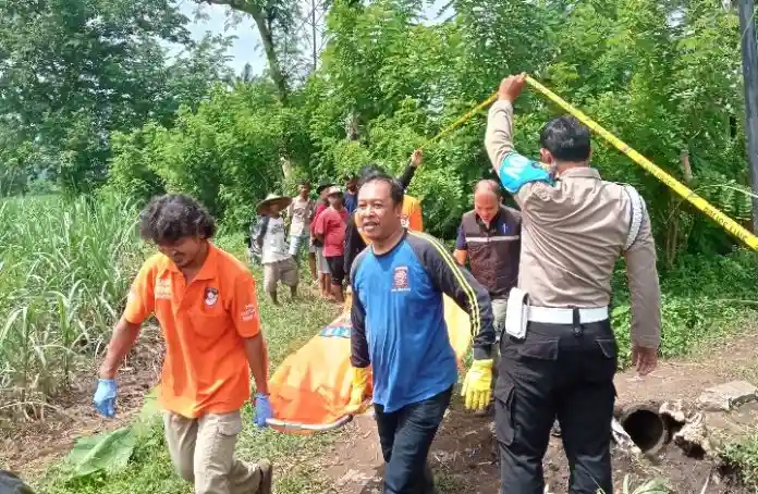 Penemuan Mayat Perempuan di Gubuk Persawahan Malang, Kasus Masih Diselidiki