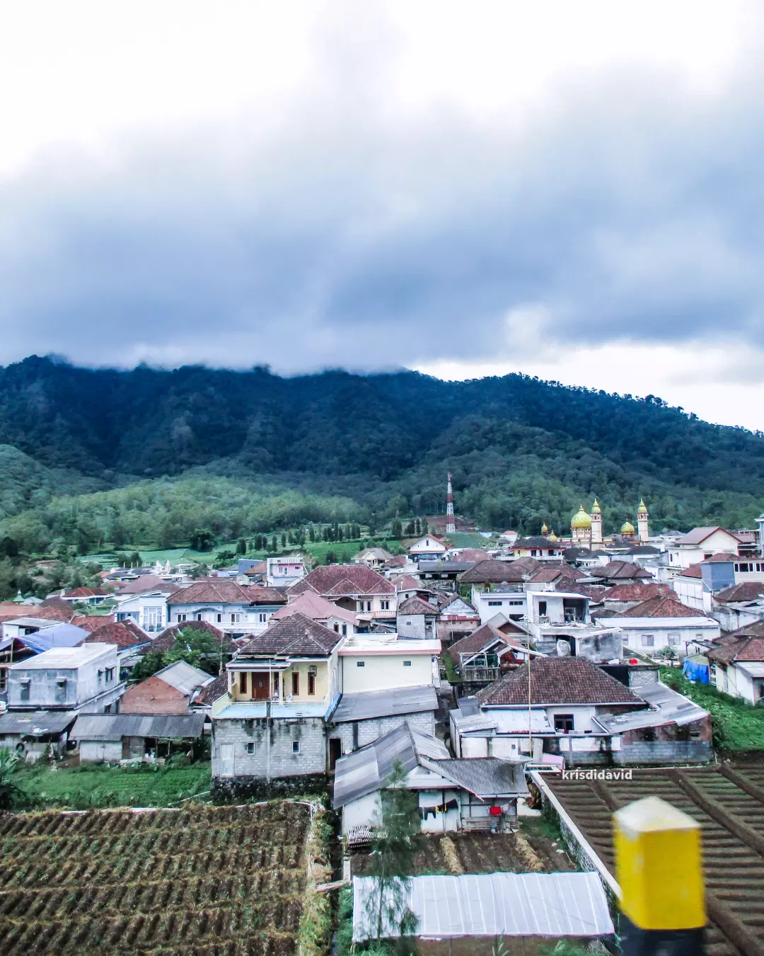 Baru Tahu! Daerah Terdingin di Jawa Timur ini Resmi Berpisah dari Kabupaten Malang