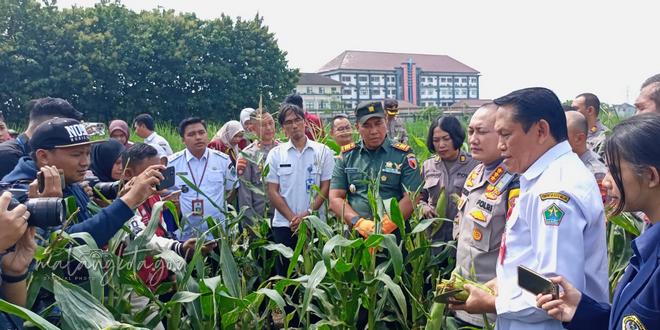Panen Raya Jagung di Malang: Kolaborasi Petani dan Polisi!