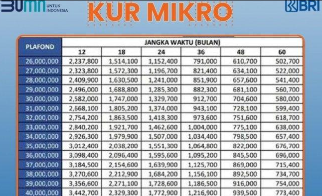 Pinjaman KUR BRI Rp250 Juta, Solusi Kembangkan Usaha Anda