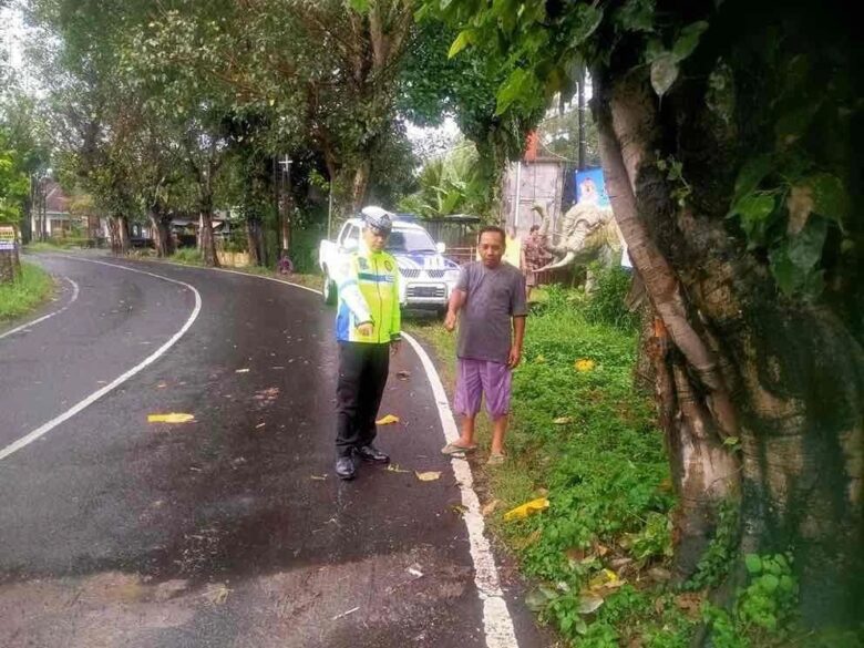Tragis! Pelajar SMP di Malang Meninggal Usai Tabrak Pohon, Begini Kronologinya