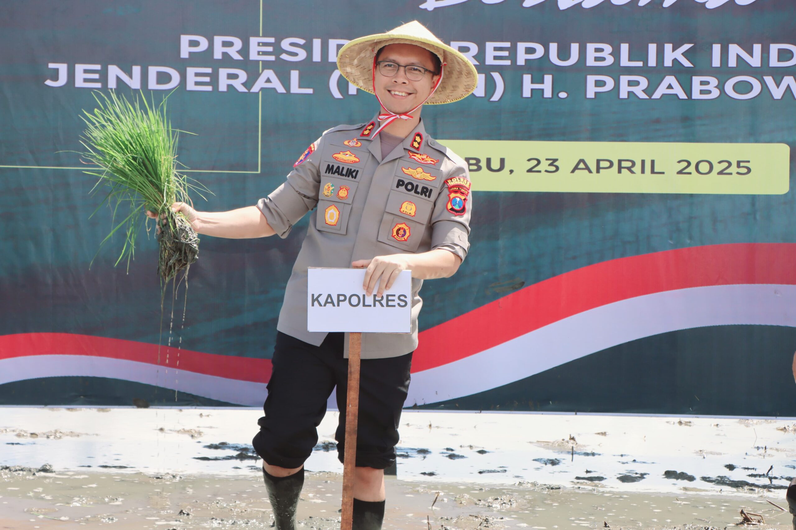 Kini Trenggalek Panen Hasil Gerakan Tanam Padi Serentak