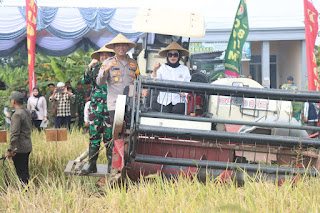 Sidoarjo Menjadi Lumbung Padi Nasional, Desa Dorong Ketahanan Pangan