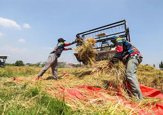 Listrik Demi Hasil Panen Berlimpah: Peran PLN dalam Elektrifikasi Pertanian