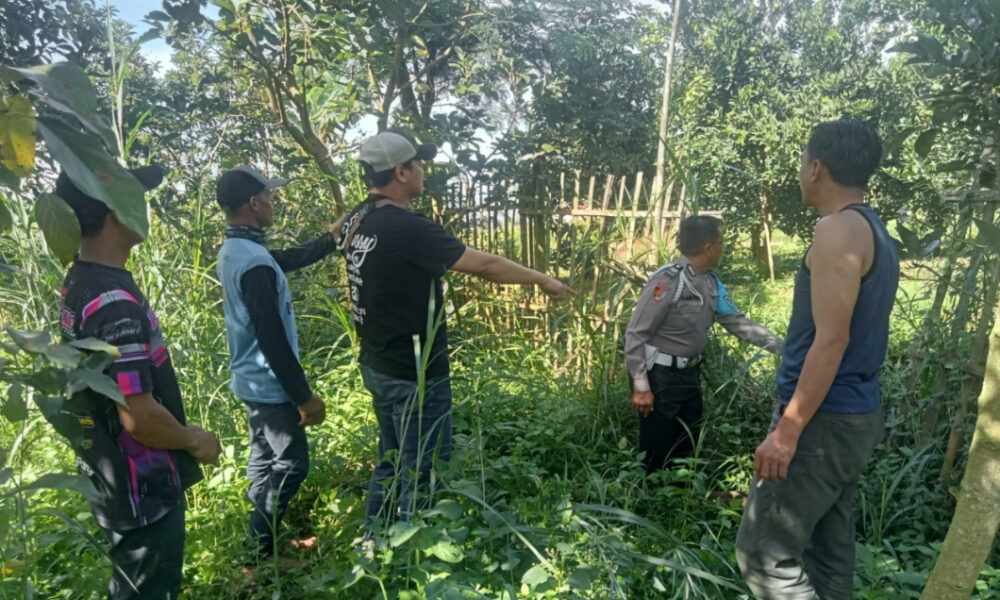 Polisi Tembak Bius Tiga Pencuri Alpukat di Malang, Mobil Pikap Disita