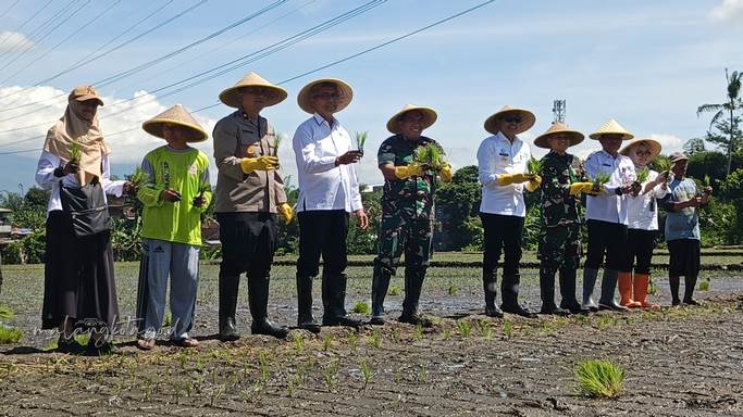 Rahasia Jitu Tingkatkan Produktivitas Pertanian Demi Ketahanan Pangan Berkelanjutan