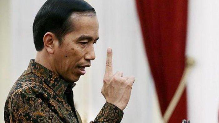 Jokowi Dilaporkan ke TPUA, Apa Sebenarnya yang Terjadi?