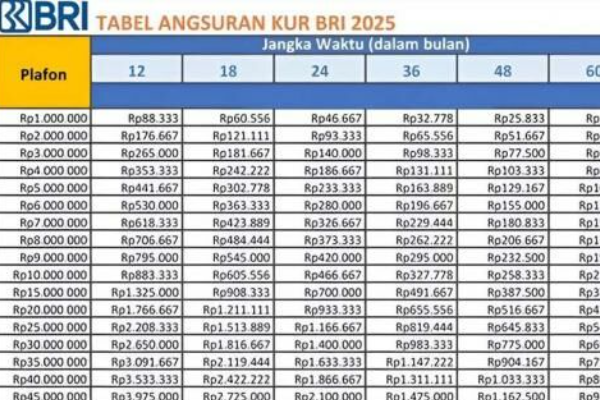 Kunci Sukses Usaha Anda: Pinjaman KUR BRI 2025 dengan Bunga Rendah