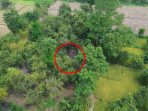 Tragedi Sabung Ayam di Pasuruan: Drone Polisi Ungkap Lokasi Terselubung