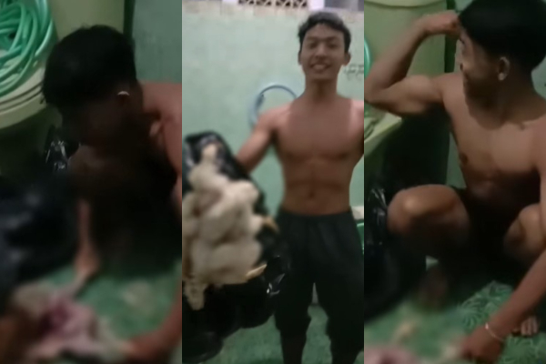 Misteri di Balik Menu Atlet Binaraga: Makan Ayam Tiren Diduga Akibat Anggaran Minim