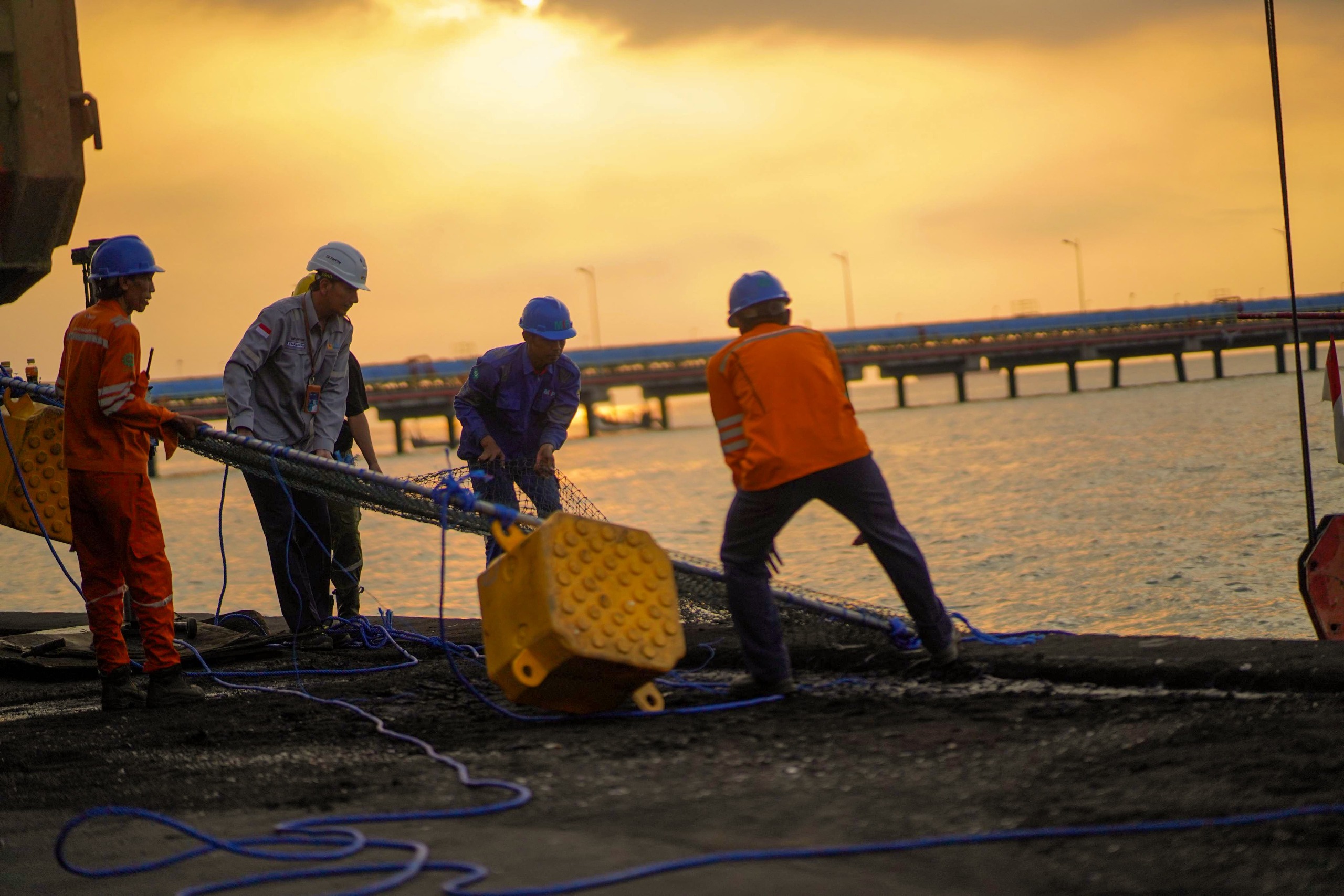 Fenomena Unik Ubur-ubur, PLN Lakukan Pengamanan Intensif