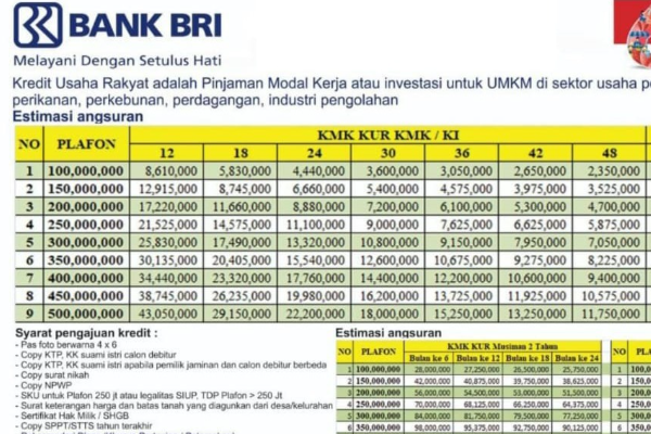 Cicilan KUR BRI Cuma Rp900 Ribuan, Wajib Tahu Skema Pengajuannya!