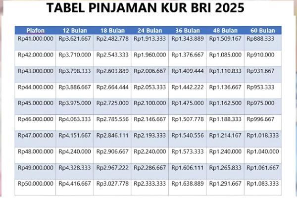 Cari Tahu Cara Pinjam KUR BRI Rp10 Juta, Untungkan Bisnis Anda!
