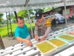 Rahasia Swasembada Pangan Kini di Tangan Warga Sidoarjo