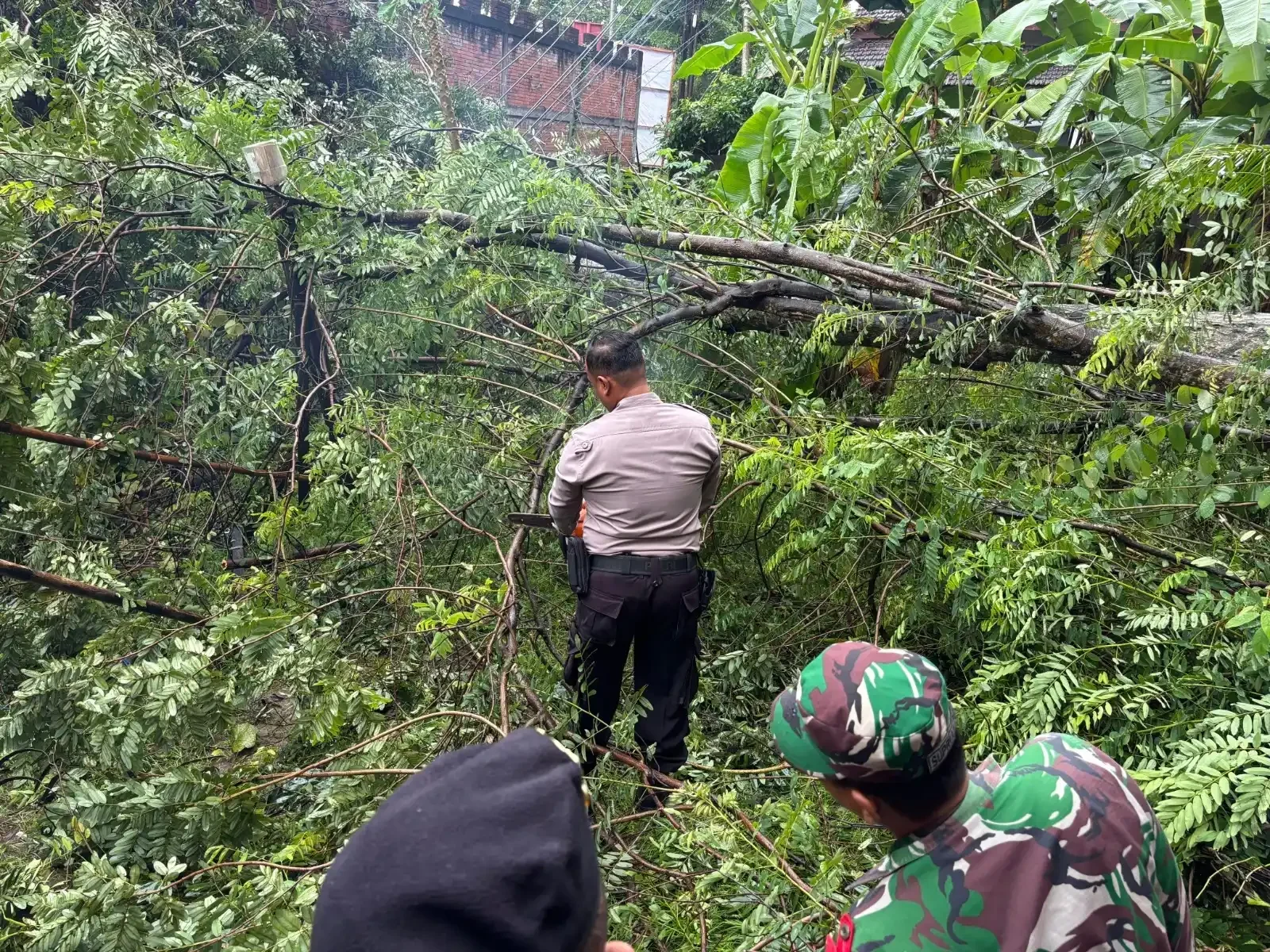 Bukan Banjir, Polres Trenggalek Sibuk Evakuasi Ini di Ngantru!