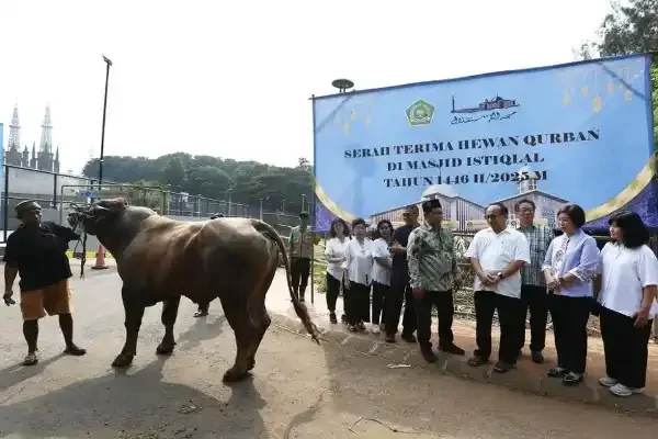 Harmoni Lebaran: Katedral Kirim Sapi Jumbo & Kambing ke Istiqlal!